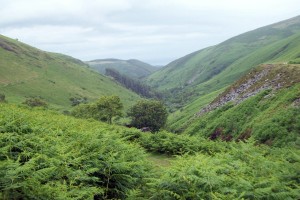 Looking down into Glen Audlyn